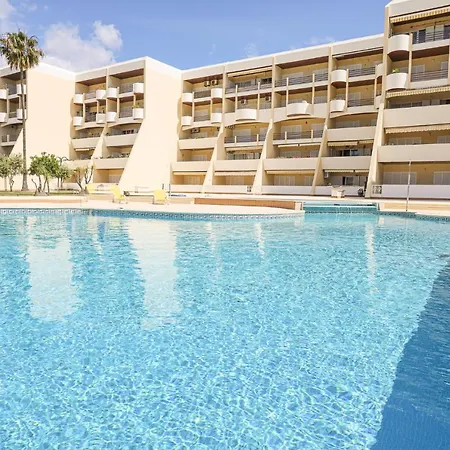 Palmeira Gale - - Pool - By Bedzy