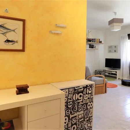 Palmeira Gale - - Pool - By Bedzy Apartman *